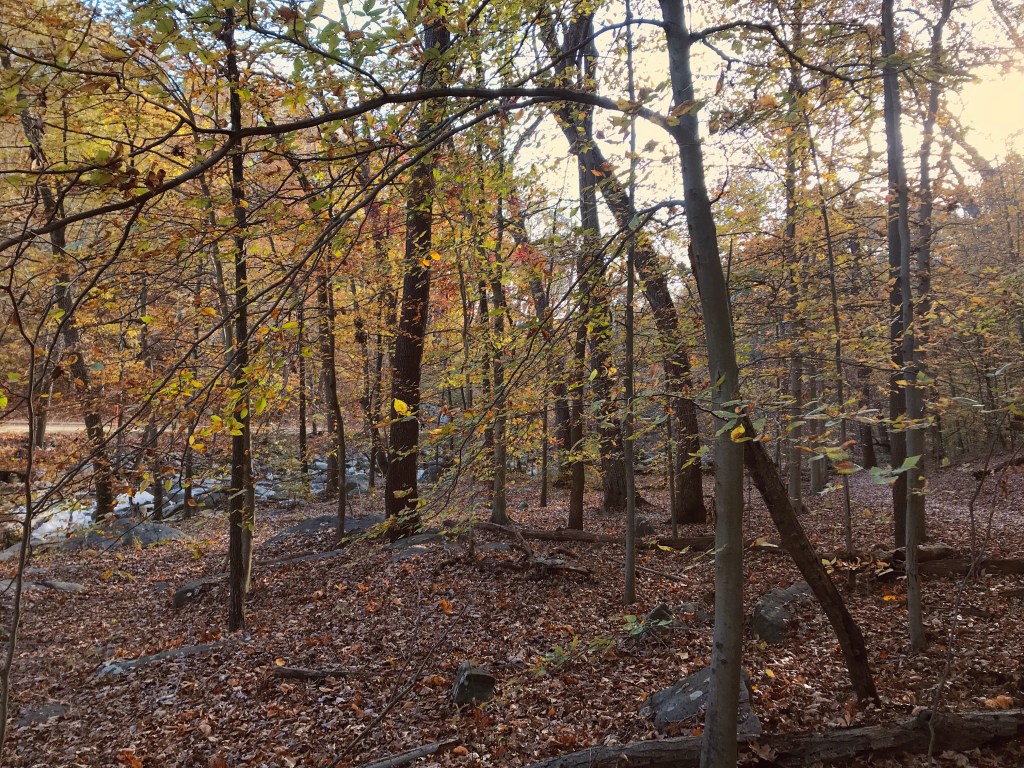 Nature’s Permission