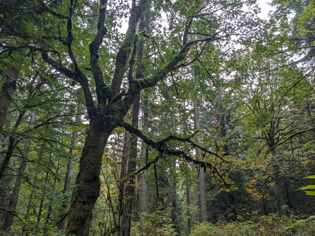 Portfolio Coming Soon!