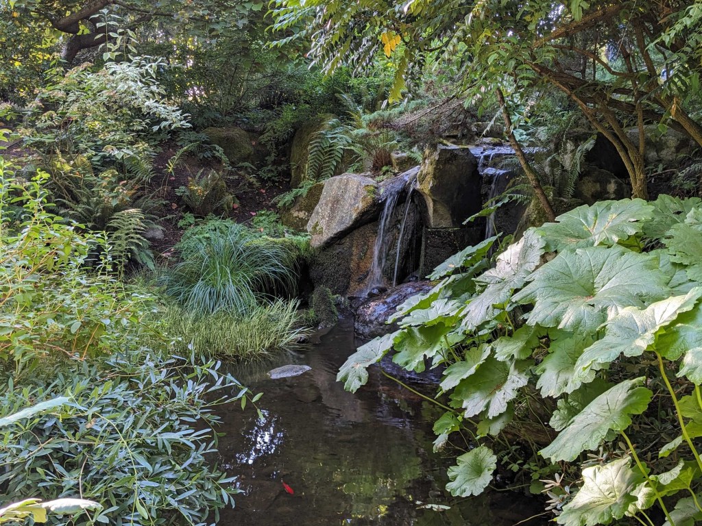 A goldfish swims in a serene stream surrounded by rocks and green plants